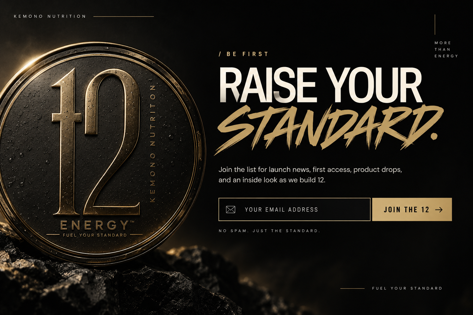 Raise Your Standard — Join The 12